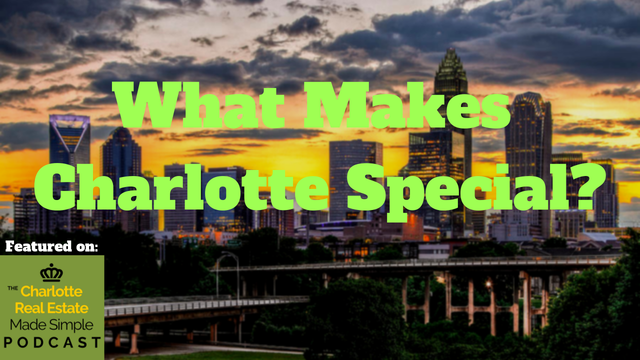 Read more about the article What Makes Charlotte Special?